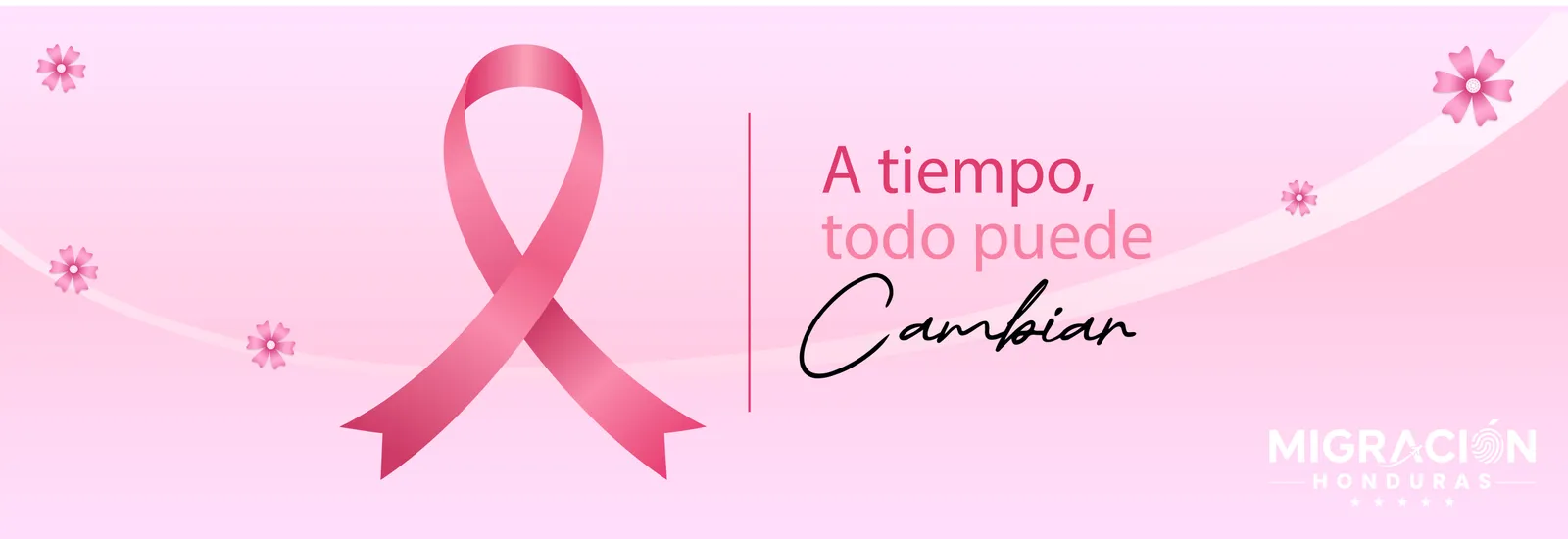 Banner de anuncio del INM